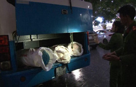 Chở mỡ và da lợn bốc mùi hôi thối, lái xe khách bị xử phạt 5,5 triệu đồng