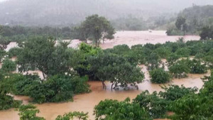 Người phụ nữ nghèo ở Đắk Nông bị lũ cuốn trôi khi đi hái rau ven suối