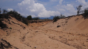 Huế sẽ chuyển đổi hàng chục hecta rừng phòng hộ phục vụ du lịch