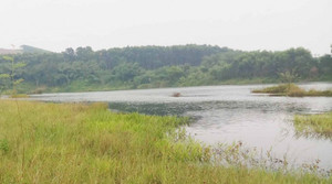 Phó Trưởng Công an huyện ở Huế chết trong nhà nghỉ