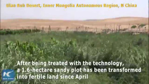 Video: Trung Quốc biến cát thành đất trồng trọt