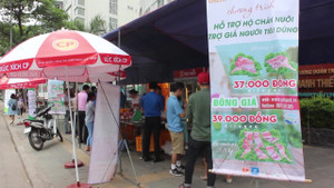 Dân Thủ đô vây kín mua thịt heo sạch đồng giá 39.000đ/kg