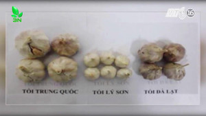 Tỏi Trung Quốc tràn chợ Việt, để cả năm không lo thối