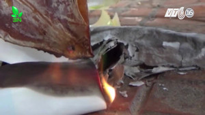 Mực khô giả, nướng có mùi khét như cao su bày bán tràn lan ở khu du lịch