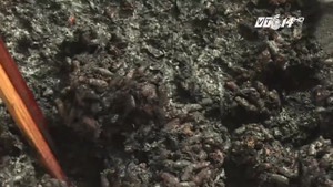 Cận cảnh gạo nấu lên vón cục đen sì, có mùi hắc ở Đồng Tháp