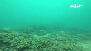 Cận cảnh đáy biển khu vực đổ thải nhà máy nhiệt điện Vĩnh Tân