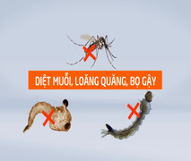 Sốt xuất huyết hoành hành khắp cả nước vì những nguyên nhân này