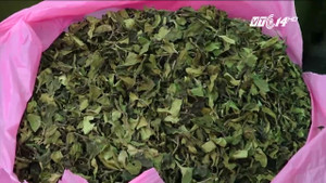 Mẹ ác nhốt con dưới gầm ghế, ngồi lên trên để chơi mạt chược