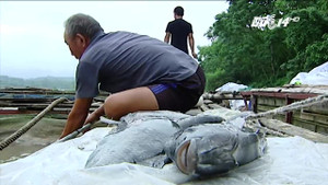 Mẹ ác nhốt con dưới gầm ghế, ngồi lên trên để chơi mạt chược