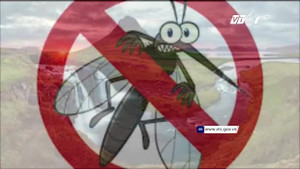 Cảnh báo: Kết quả xét nghiệm máu chẩn đoán nhanh sốt xuất huyết vẫn có thể sai số