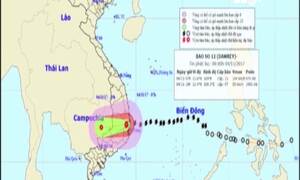 Video: Cập nhật mới nhất đường đi của bão số 12
