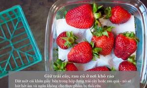 Video: Bạn có đang bảo quản rau sai cách?