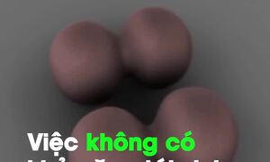 Tại sao con người không thể tái sinh chi như thằn lằn?