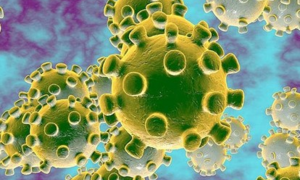 Chuyên gia Trung Quốc: Virus corona có thể lây qua đường tiêu hoá