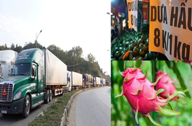 Thị trường Trung Quốc ‘hắt hơi’, nông sản Việt điêu đứng: Lại lộ ‘tử huyệt’ vì virus corona