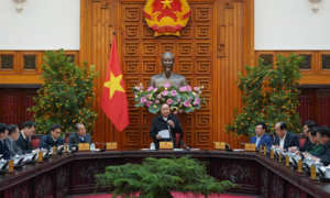 Dịch virus corona khi nào đạt đỉnh?