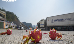 Thông quan cửa khẩu Hữu Nghị, 'giải cứu' nông sản tồn đọng từ Tết Canh Tý