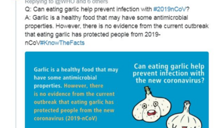 Không có bằng chứng dùng tỏi có thể ngăn coronavirus mới