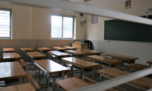 Ảnh: Giáo viên Hà Nội làm gì trong những ngày học sinh nghỉ phòng tránh dịch corona?