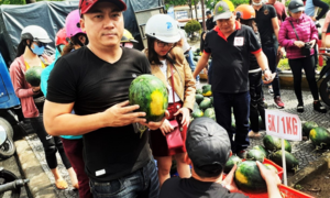 Dân và du khách Hội An 'giải cứu' hàng chục tấn dưa hấu Tây Nguyên