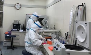 Trắng đêm, xuyên Tết tìm virus corona trong phòng xét nghiệm 