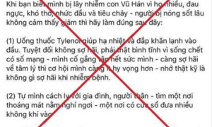 Triệu tập người phụ nữ bán hàng online tự bịa cách chữa trị Covid-19 rồi đăng lên facebook