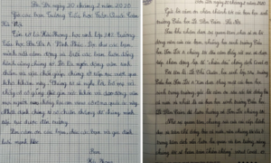 Xúc động bức thư học sinh vùng dịch Sơn Lôi cảm ơn các bạn nhỏ ở Hà Nội