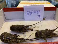 Chuyên gia Trung Quốc: SARS-CoV-2 tiến hoá thành 2 chủng khác nhau