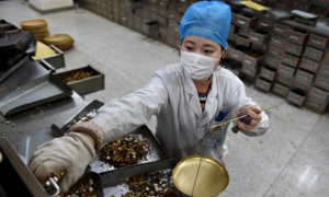 85% bệnh nhân Covid-19 ở Trung Quốc được điều trị y học cổ truyền