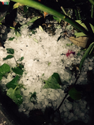 Mưa đá, dông lốc quật đổ cầu treo ở Lào Cai, 1 người thiệt mạng