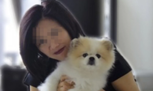 Con chó đầu tiên trên thế giới nhiễm Covid-19