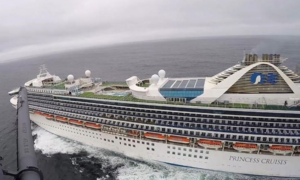 Mỹ phát hiện 21 ca dương tính Covid-19 trên du thuyền chở 3.400 hành khách