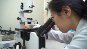 Video: Cuộc chiến bên trong phòng xét nghiệm người mắc Covid-19 ở Hà Nội