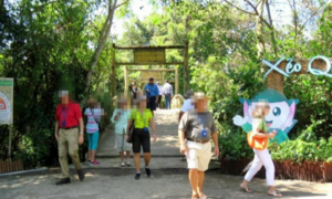 Phòng Covid-19, hai tỉnh miền Tây tạm dừng tiếp nhận du khách nước ngoài