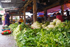 Ngày đầu Hà Nội tạm đóng cửa hàng dịch vụ không thiết yếu: Dồi dào hàng hóa ở chợ