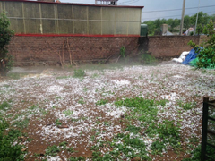 Chiều tối nay miền Bắc đón không khí lạnh, đề phòng mưa đá và lốc sét