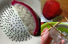 Video: Thèm du lịch mùa COVID-19, dân mạng thi nhau check-in sân bay tại... nhà