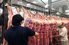 Thái Lan giảm xuất khẩu thịt lợn sang Việt Nam