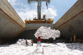 Sắp có kết luận thanh tra xuất khẩu gạo