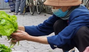 Người bỏ phố, người lay lắt ở lại, kịch bản cho người lao động tiếp tục xấu đi