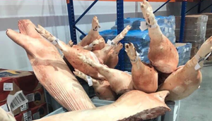 Thái Lan giảm xuất khẩu thịt lợn sang Việt Nam