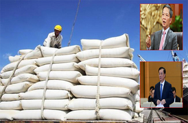 Sắp có kết luận thanh tra xuất khẩu gạo