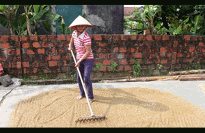 Sau lùm xùm, Thanh Hóa rà soát lại tất cả danh sách hộ nghèo, hộ cận nghèo