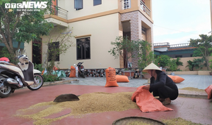 Sau lùm xùm, Thanh Hóa rà soát lại tất cả danh sách hộ nghèo, hộ cận nghèo