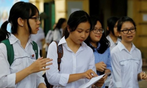 Trường Amsterdam Hà Nội hạ điểm xét vòng sơ tuyển vào lớp 6