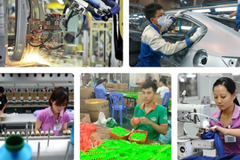 EVFTA bắt đầu có hiệu lực: Kỳ vọng vực dậy kinh tế Việt Nam giữa COVID-19