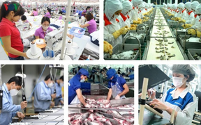 EVFTA bắt đầu có hiệu lực: Kỳ vọng vực dậy kinh tế Việt Nam giữa COVID-19