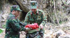 Chuyện chưa biết về một ‘đạo trà’ từ cuộc chiến chống quân Trung Quốc xâm lược