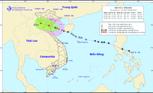 Ngư dân Sầm Sơn kéo thuyền lên lề đường tránh bão