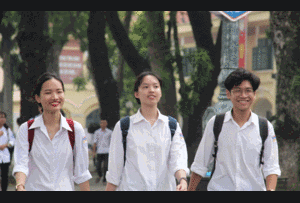 Đáp án 24 mã đề môn tiếng Anh thi tốt nghiệp THPT 2020